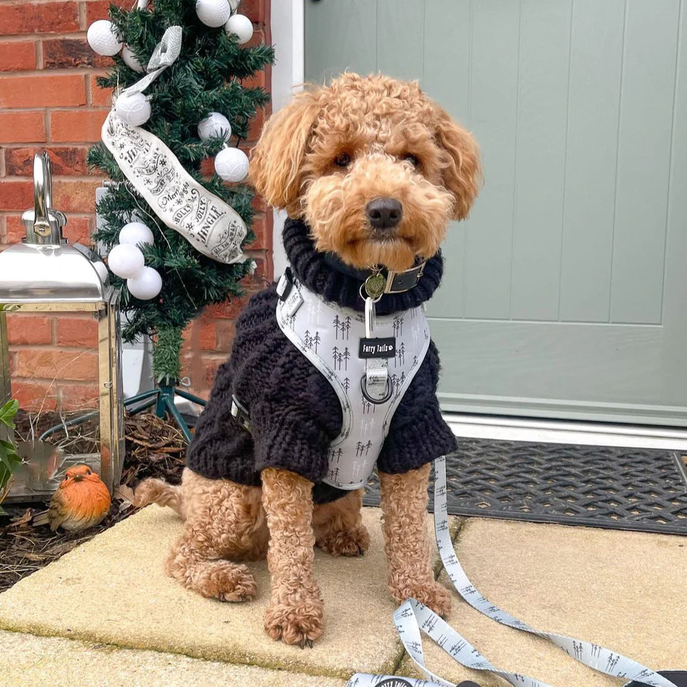 Adjustable Dog Harness (Full Set) ("Feeling Pine") – Dog Harness, Dog Collar, Dog Lead, Dog Poo Bag Holder – by Furry Tails-6