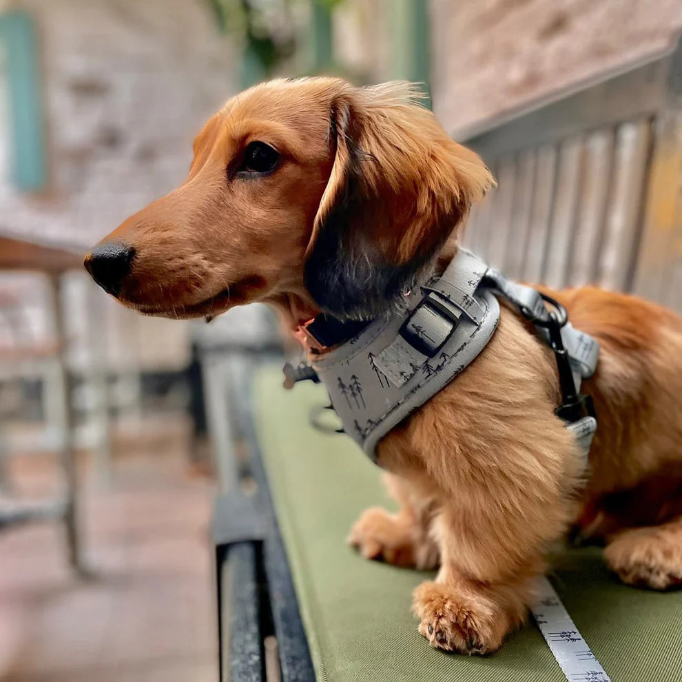 Adjustable Dog Harness (Full Set) ("Feeling Pine") – Dog Harness, Dog Collar, Dog Lead, Dog Poo Bag Holder – by Furry Tails-0