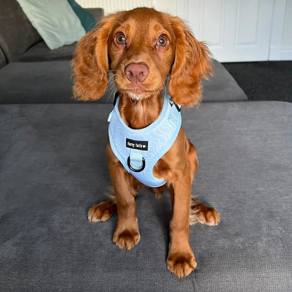 Adjustable Dog Harness (Full Set) (Ocean Swirl) – Dog Harness, Dog Collar, Dog Lead, Dog Poo Bag Holder – by Furry Tails-4