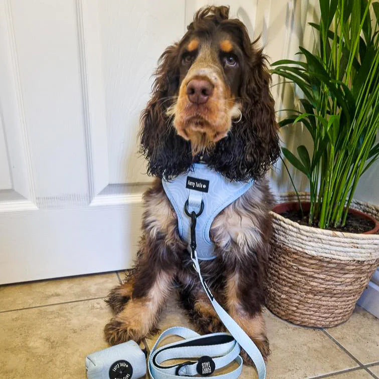 Adjustable Dog Harness (Full Set) (Ocean Swirl) – Dog Harness, Dog Collar, Dog Lead, Dog Poo Bag Holder – by Furry Tails-5