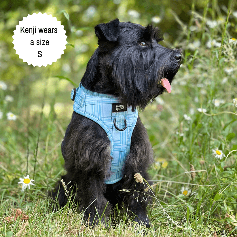 Oxford "Oasis" Adjustable Dog Harness – by Flossie & Floof-5