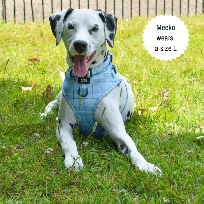 Oxford "Oasis" Adjustable Dog Harness – by Flossie & Floof-11