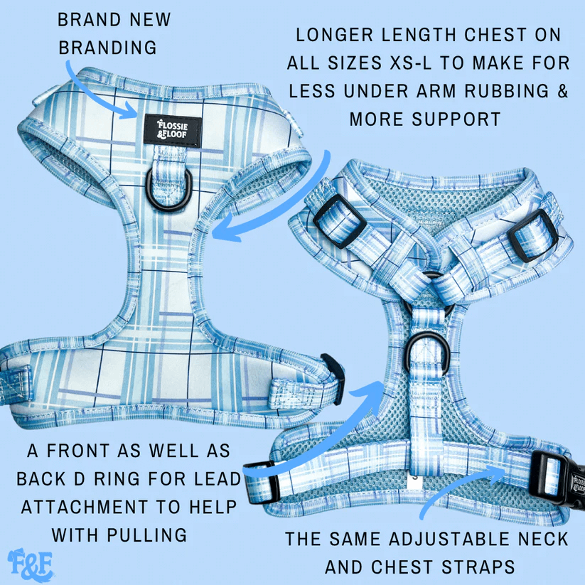 Oxford "Oasis" Adjustable Dog Harness – by Flossie & Floof-3