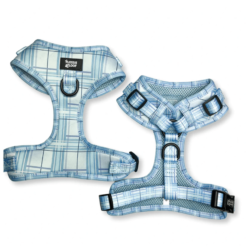 Oxford "Oasis" Adjustable Dog Harness – by Flossie & Floof-2