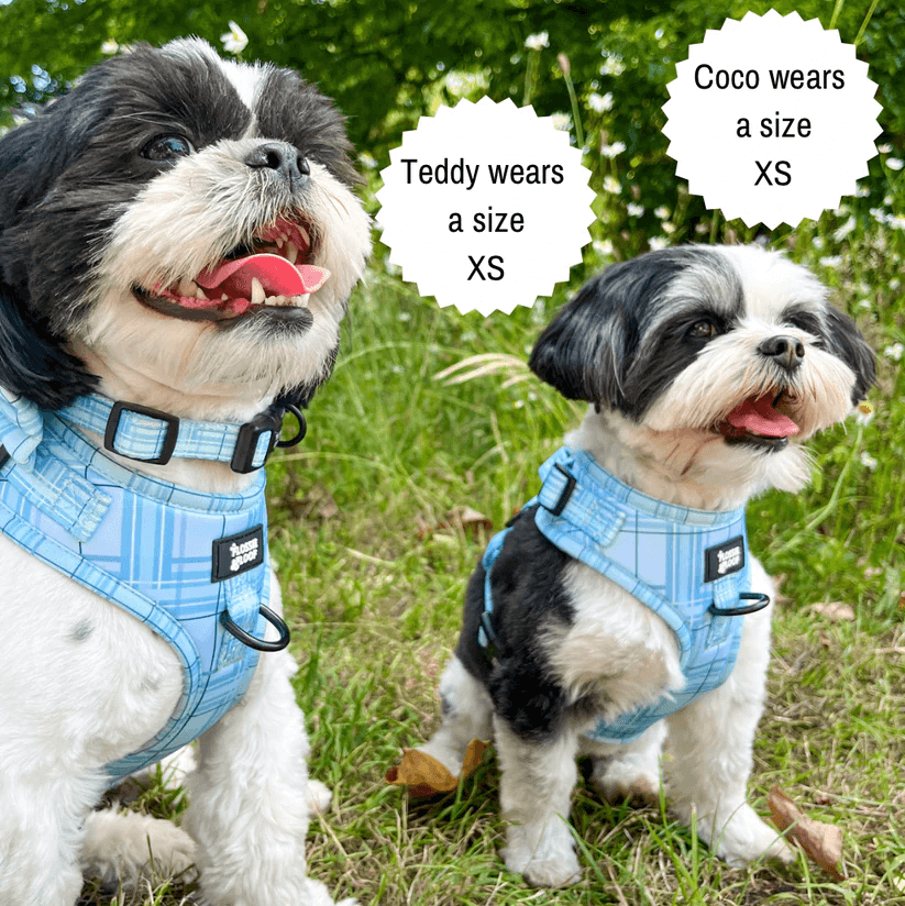 Oxford "Oasis" Adjustable Dog Harness – by Flossie & Floof-12