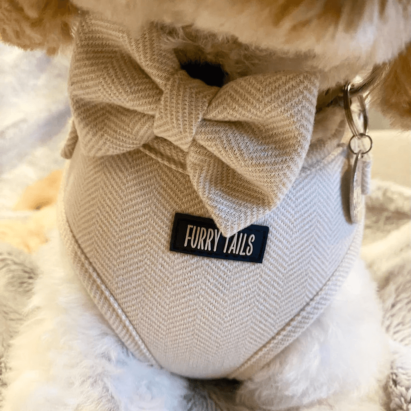 Dog Harness (Full Set) (Cashmere) – Dog Harness, Dog Collar, Dog Lead, Dog Poo Holder, Dog Bow Tie – by Furry Tails-3