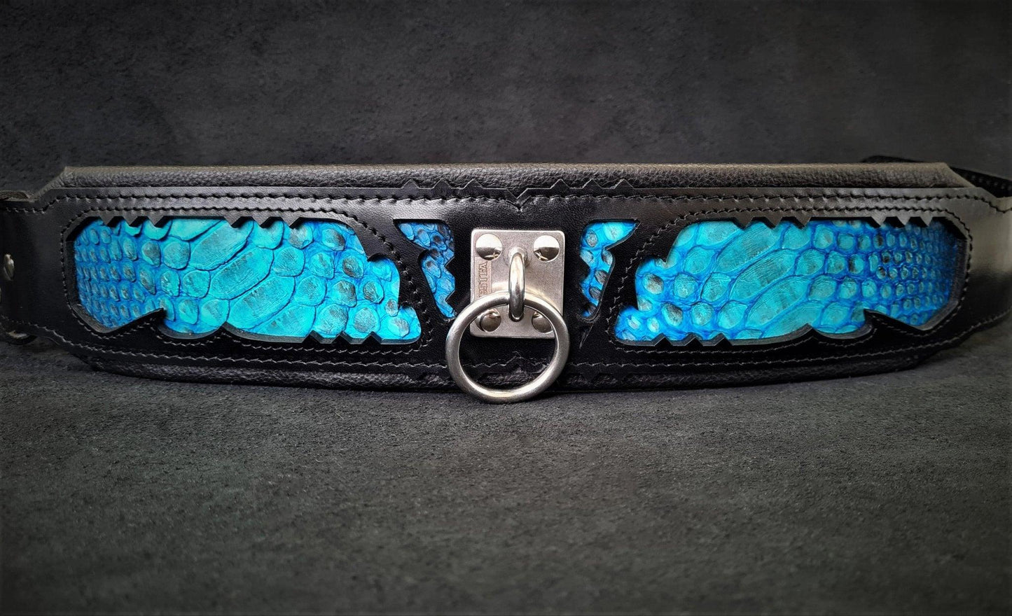 The ''Morelia Python'' Collar-3