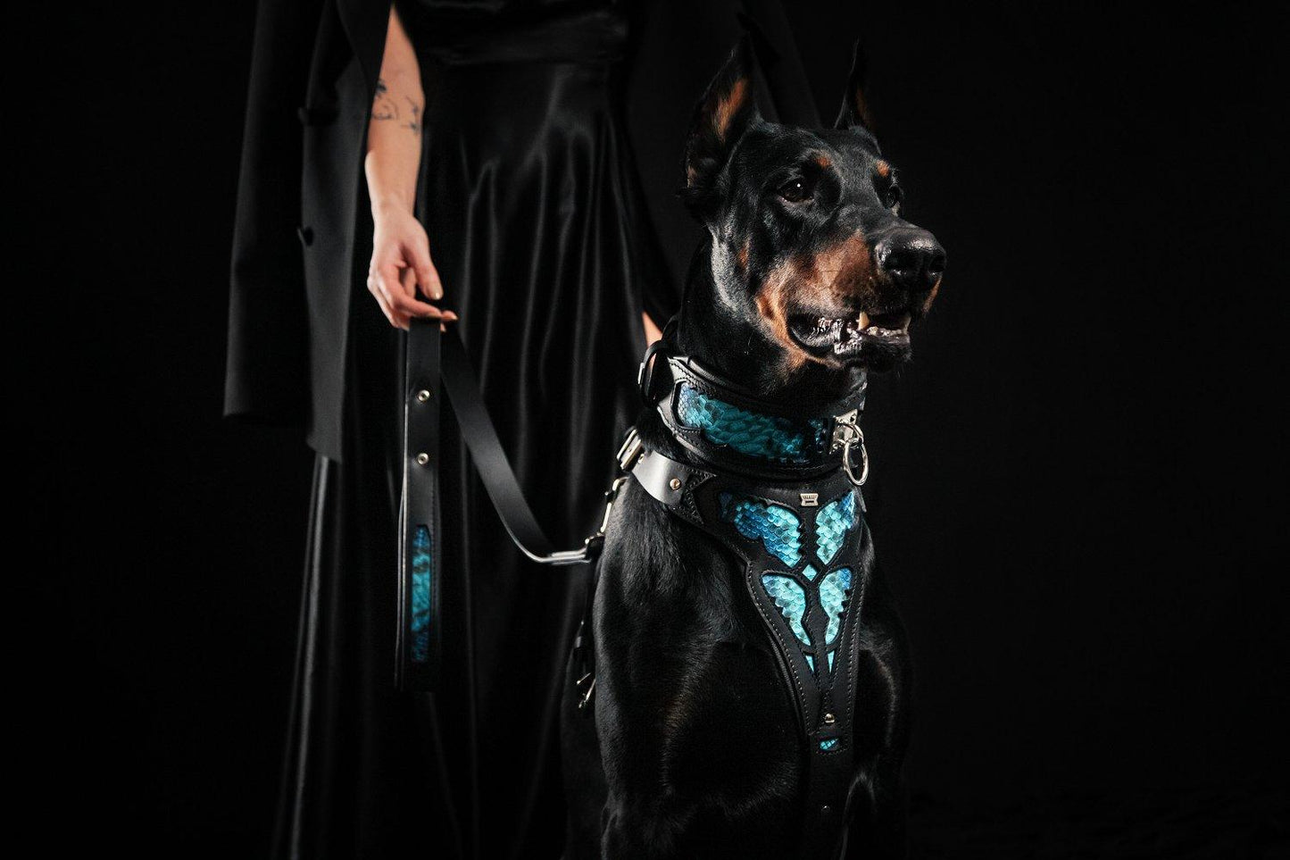 The ''Morelia Python'' Collar-4