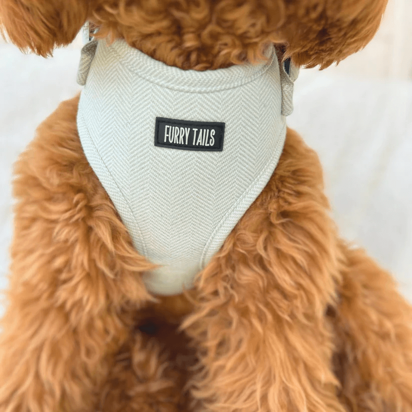 Dog Harness (Full Set) (Peppermint) – Dog Harness, Dog Collar, Dog Lead, Dog Poo Holder, Dog Bow Tie – by Furry Tails-5