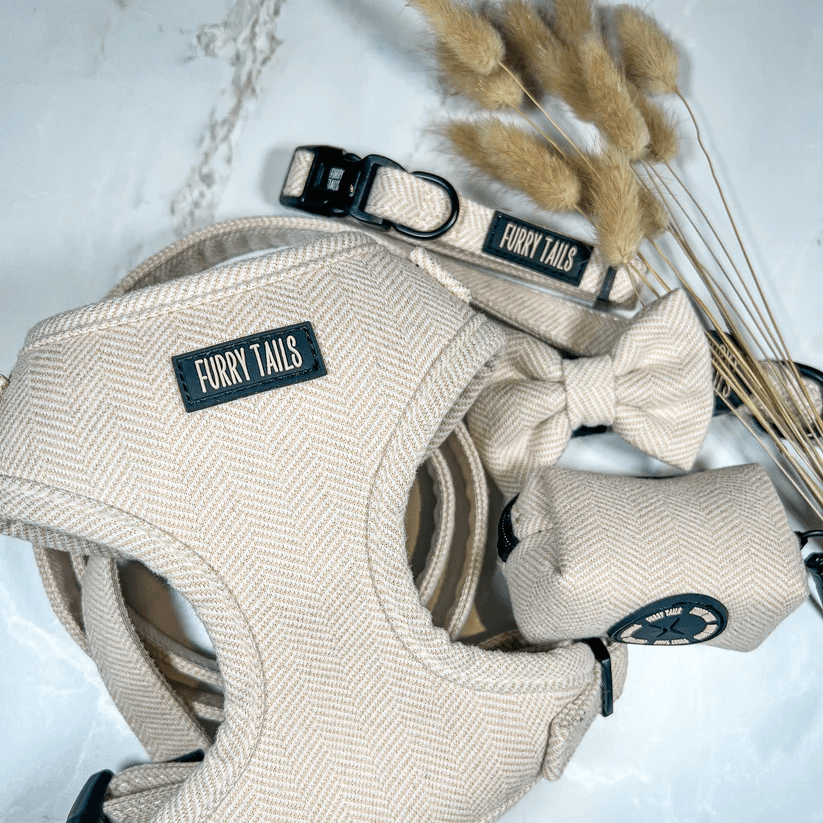 Dog Harness (Full Set) (Cashmere) – Dog Harness, Dog Collar, Dog Lead, Dog Poo Holder, Dog Bow Tie – by Furry Tails-5