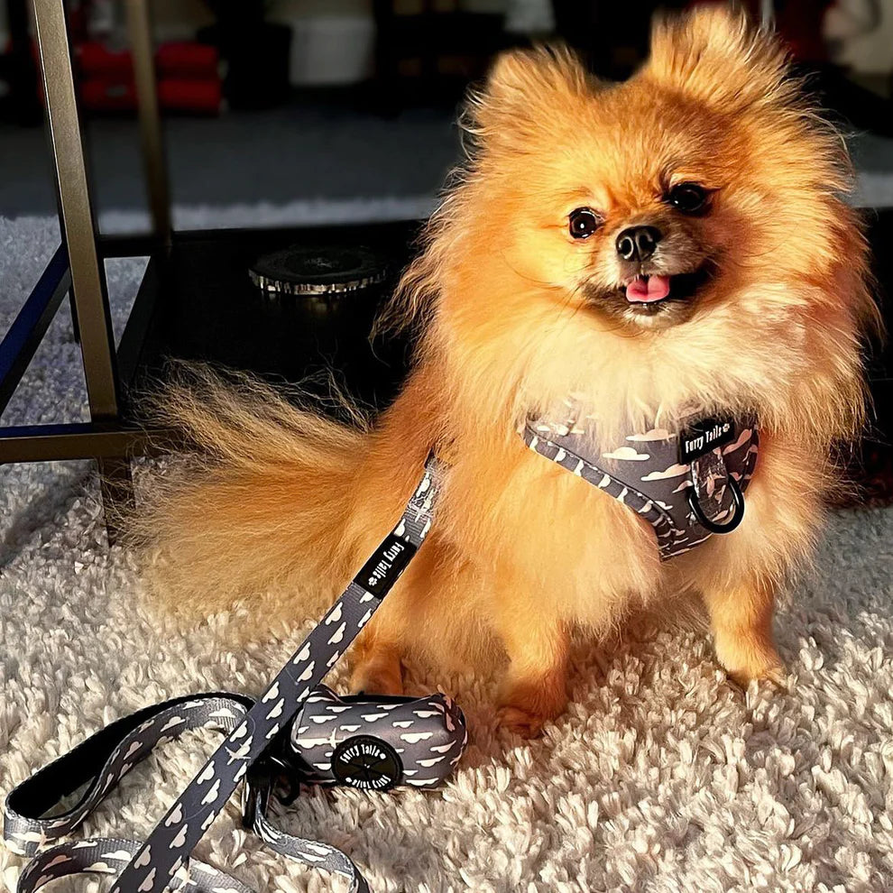 Adjustable Dog Harness (Full Set) (Cotton Trails) – Dog Harness, Dog Collar, Dog Lead, Dog Poo Bag Holder – by Furry Tails-7