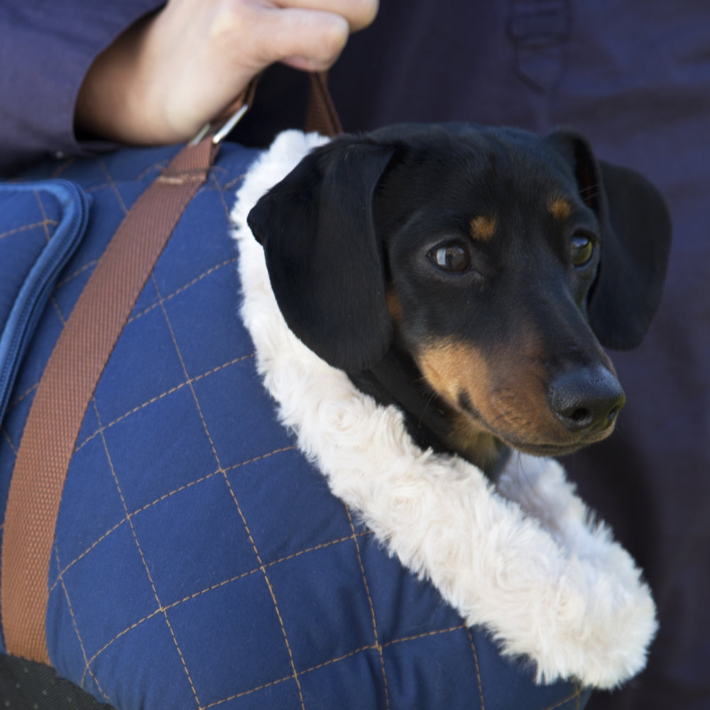 Wilton Dog Carrier (in Blue, Grey, Black, Brown) by Scruffs-12