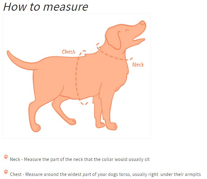 Oxford "Oasis" Adjustable Dog Harness – by Flossie & Floof-13