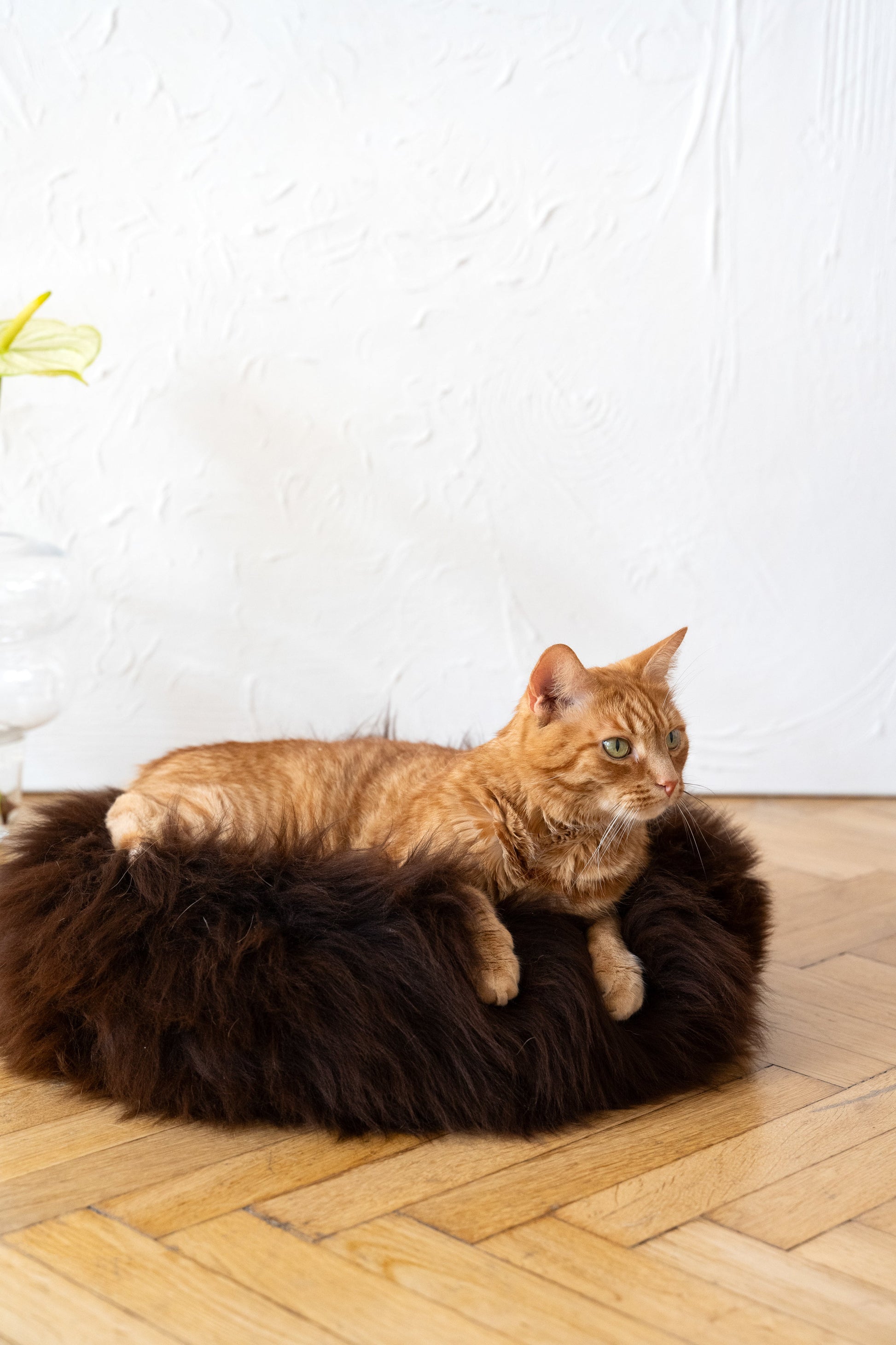 Round Natural Sheepskin Pet Bed - Brown-1