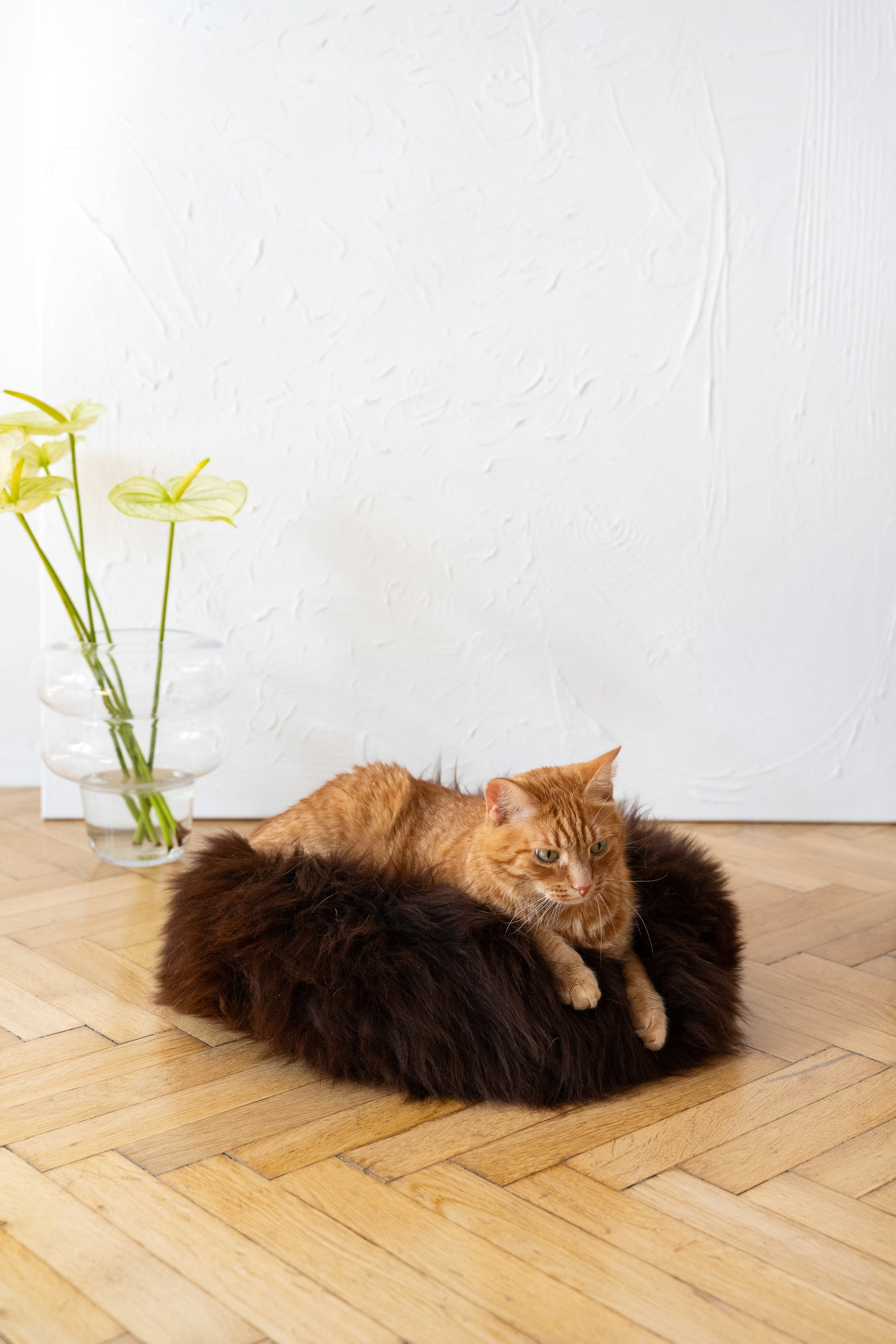 Round Natural Sheepskin Pet Bed - Brown-3