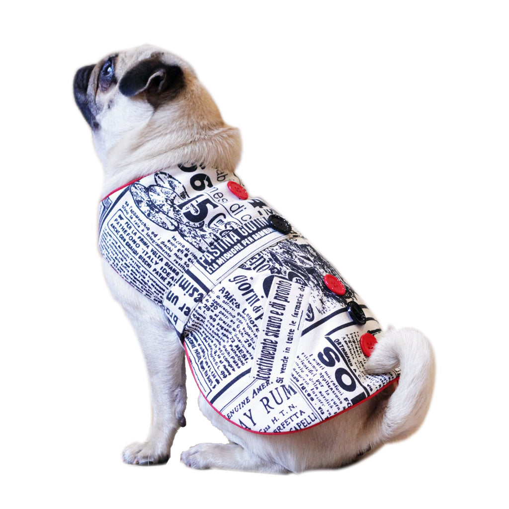 Paparazzi by Doggy Doo Little-1
