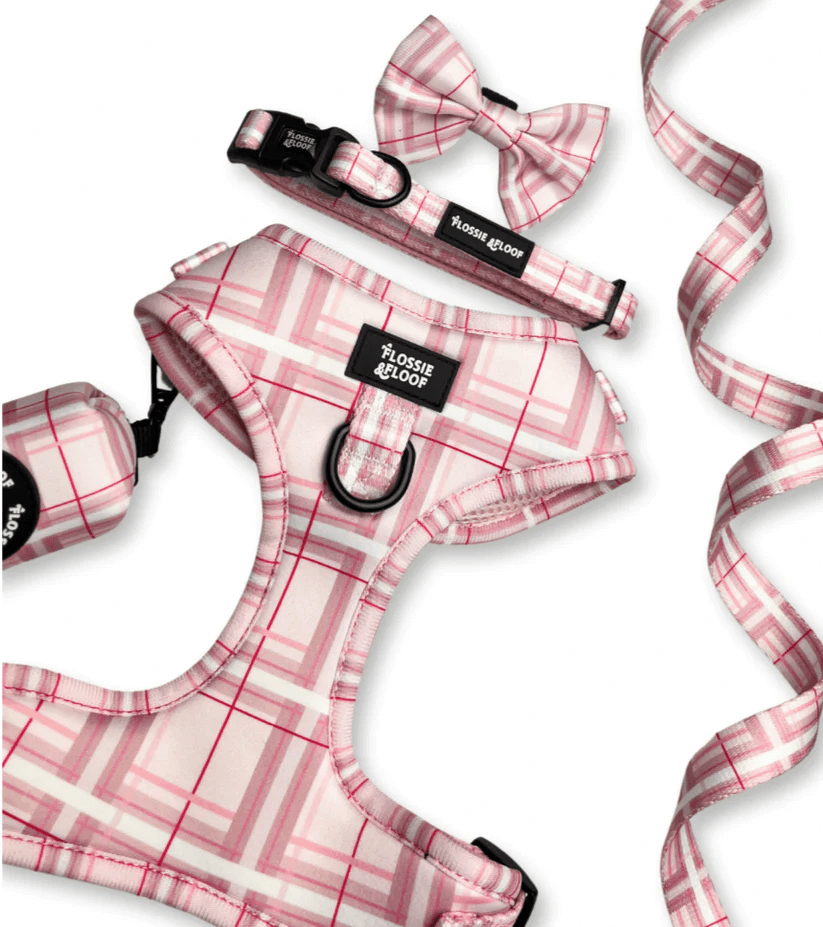 Oxford "Blush" Dog Bow Tie – by Flossie & Floof-2