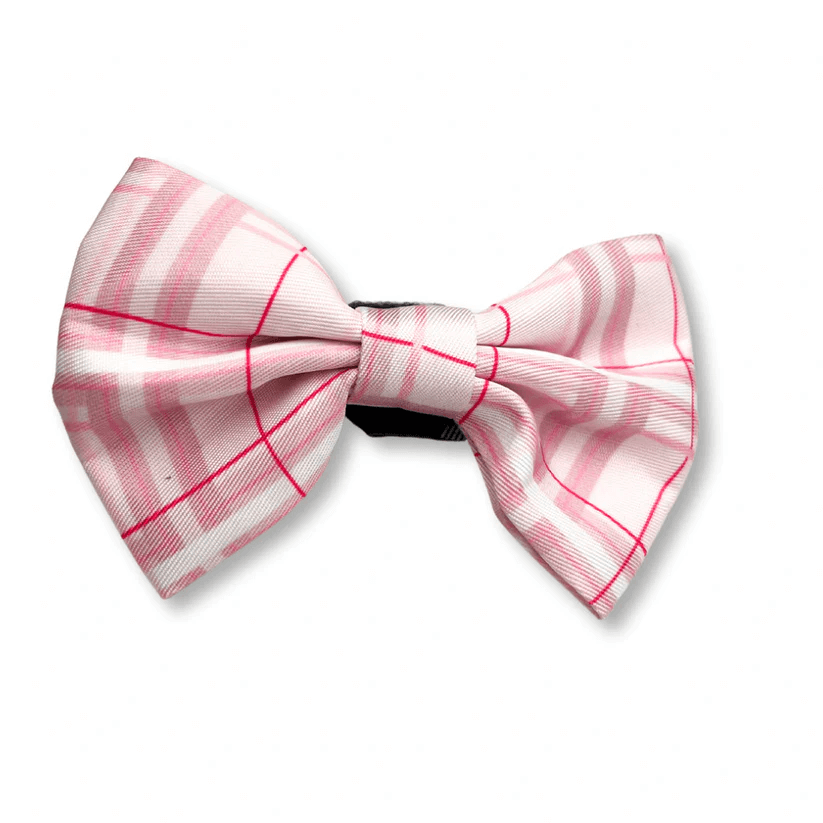 Oxford "Blush" Dog Bow Tie – by Flossie & Floof-0