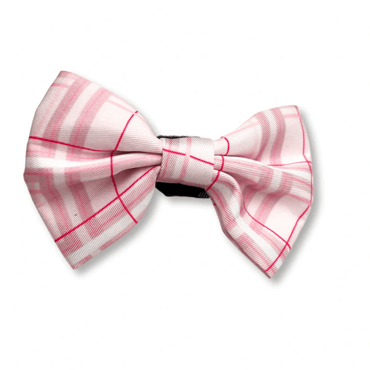 Oxford "Blush" Dog Bow Tie – by Flossie & Floof-0