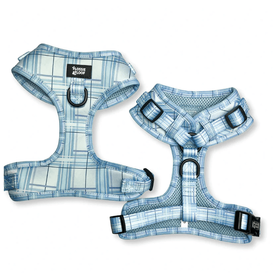 Oxford "Oasis" Adjustable Dog Harness – by Flossie & Floof-2