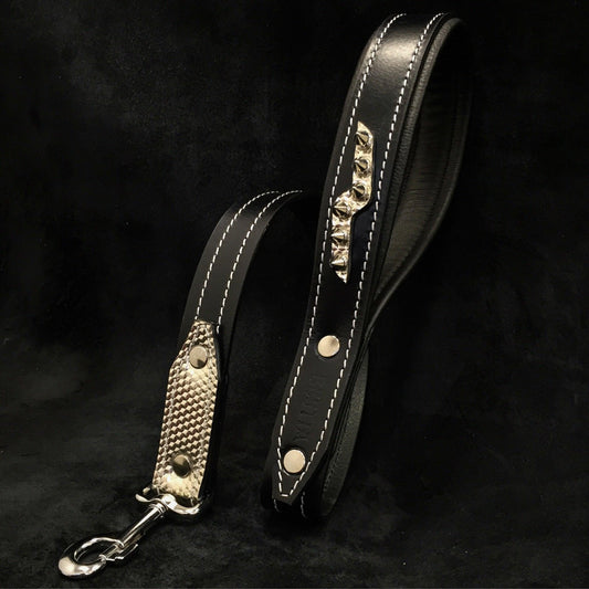 The ''Platinum'' Leash-0