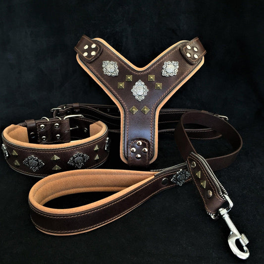 "AZTEC" BIG dog SET - Harness, Collar, Lead Brown-0