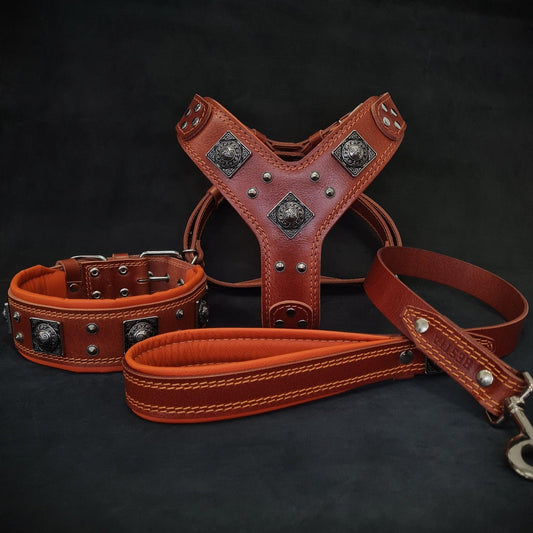 "EROS" BIG dog SET- Harness, Collar, Lead Brown & Orange-0