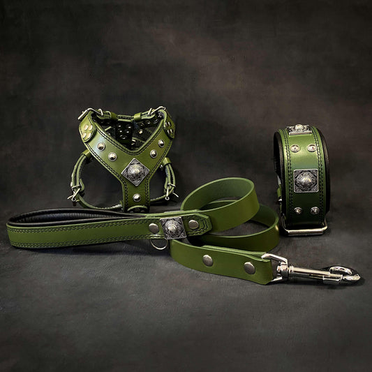 "EROS" Small to Medium Dog SET - Harness , Collar, Lead Green-0