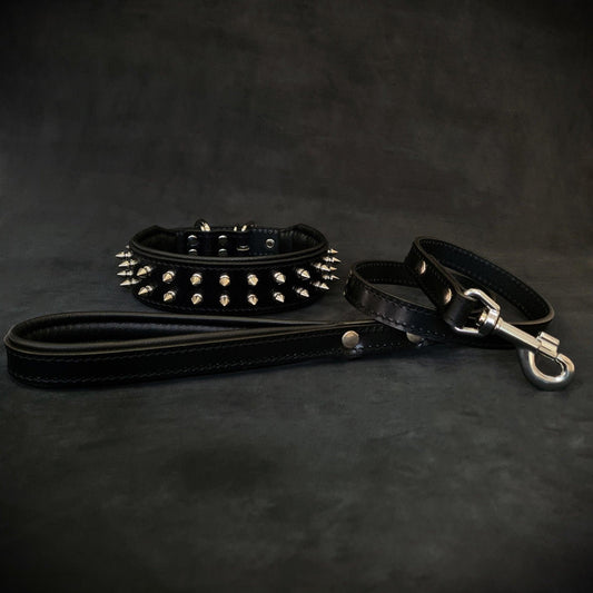 "Frenchie" Set- Collar & Leash Black-0