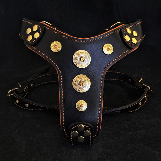 The ''Bijou'' Harness Black & Orange Small to Medium Size-0