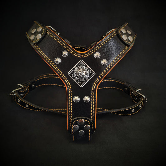 The ''Eros'' Harness Black & Orange Small to Medium Size-0