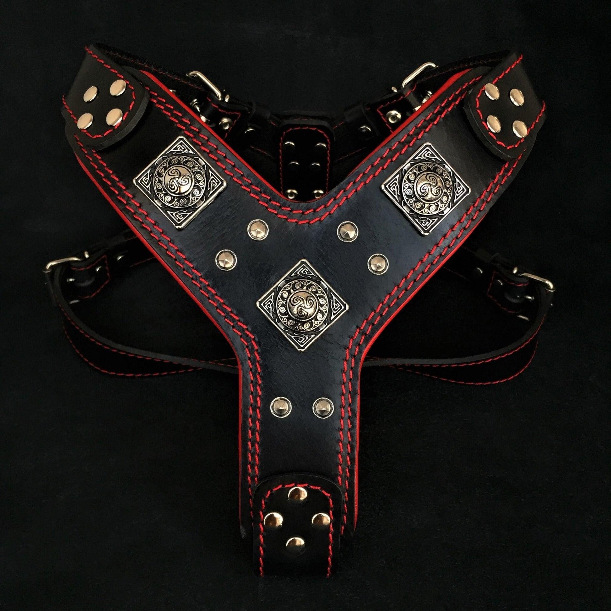 The "Eros" Harness Black & Red-0