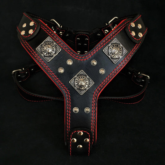 The "Eros" Harness Black & Red-0