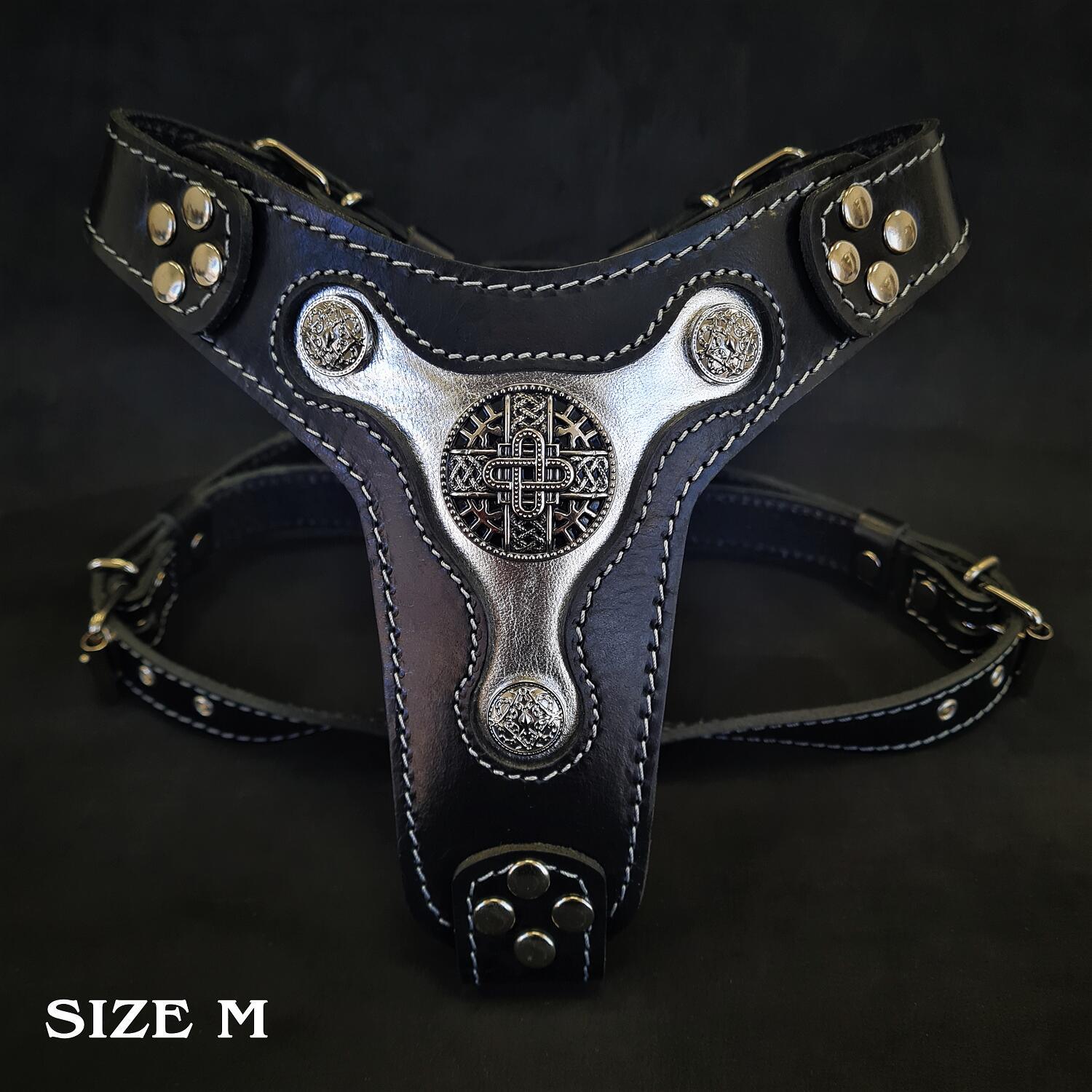 The "Hektor" Harness-1