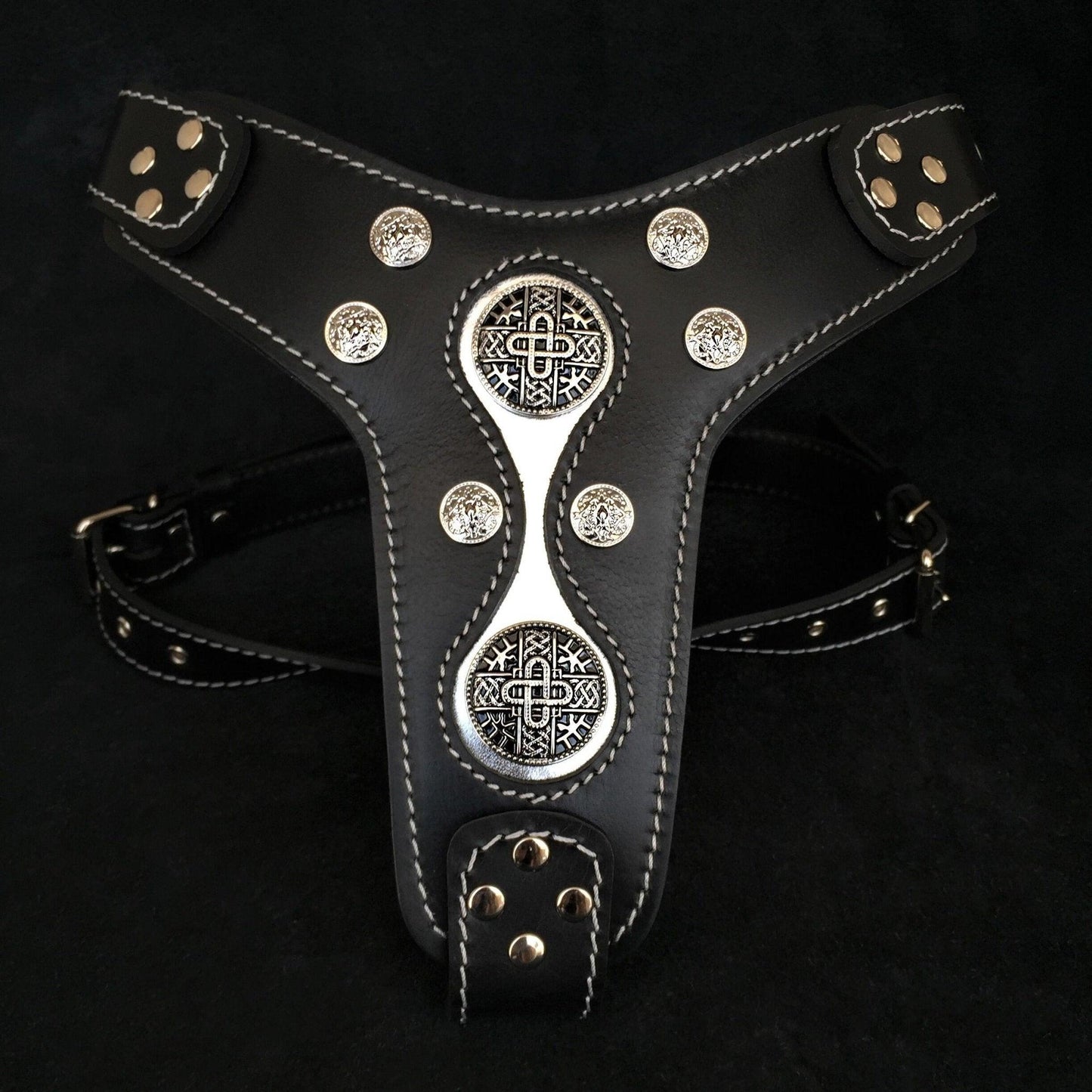 The "Hektor" Harness-0
