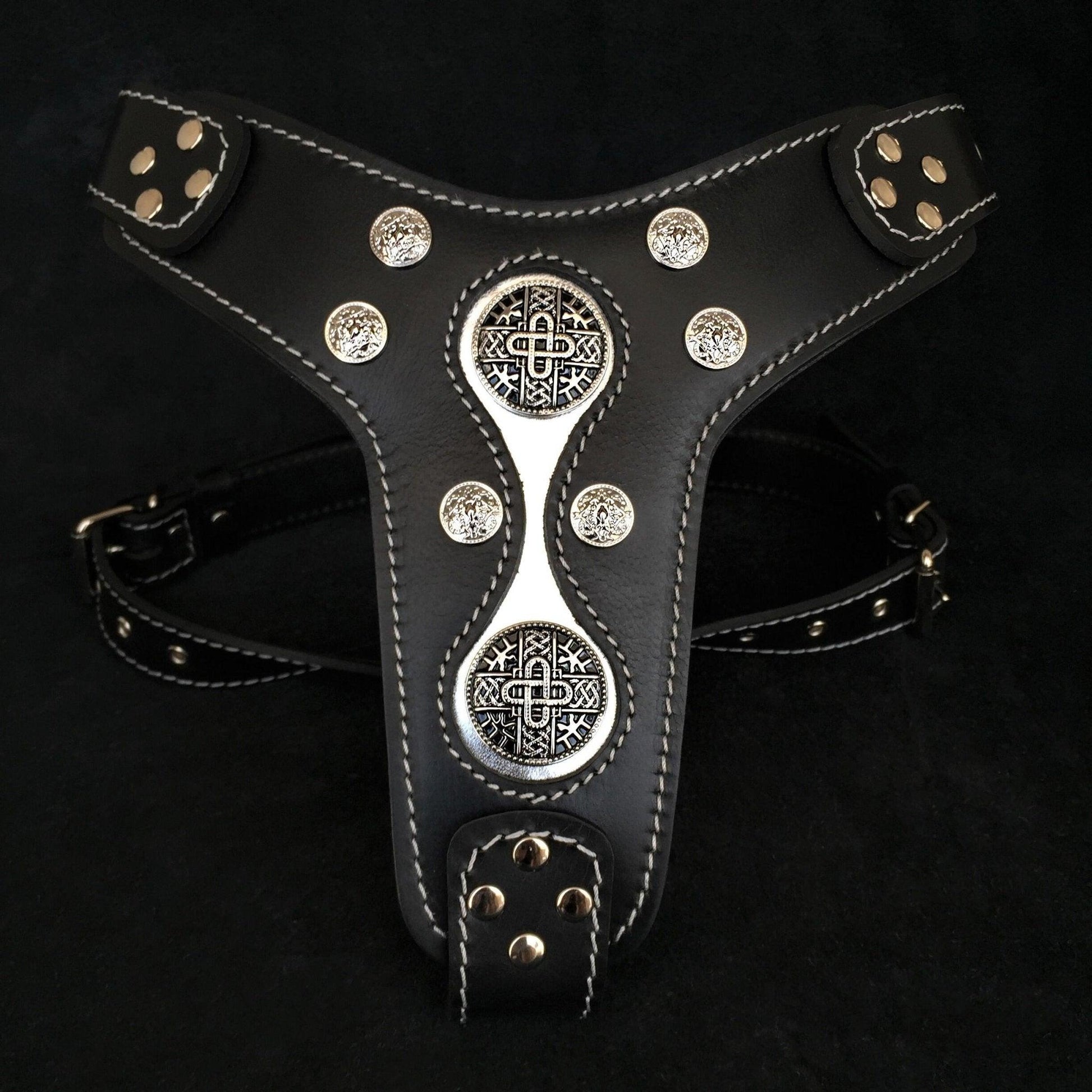 The "Hektor" Harness-0