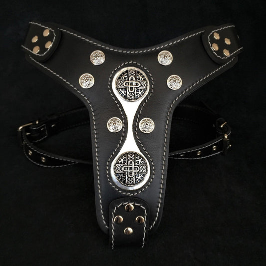 The "Hektor" Harness-0