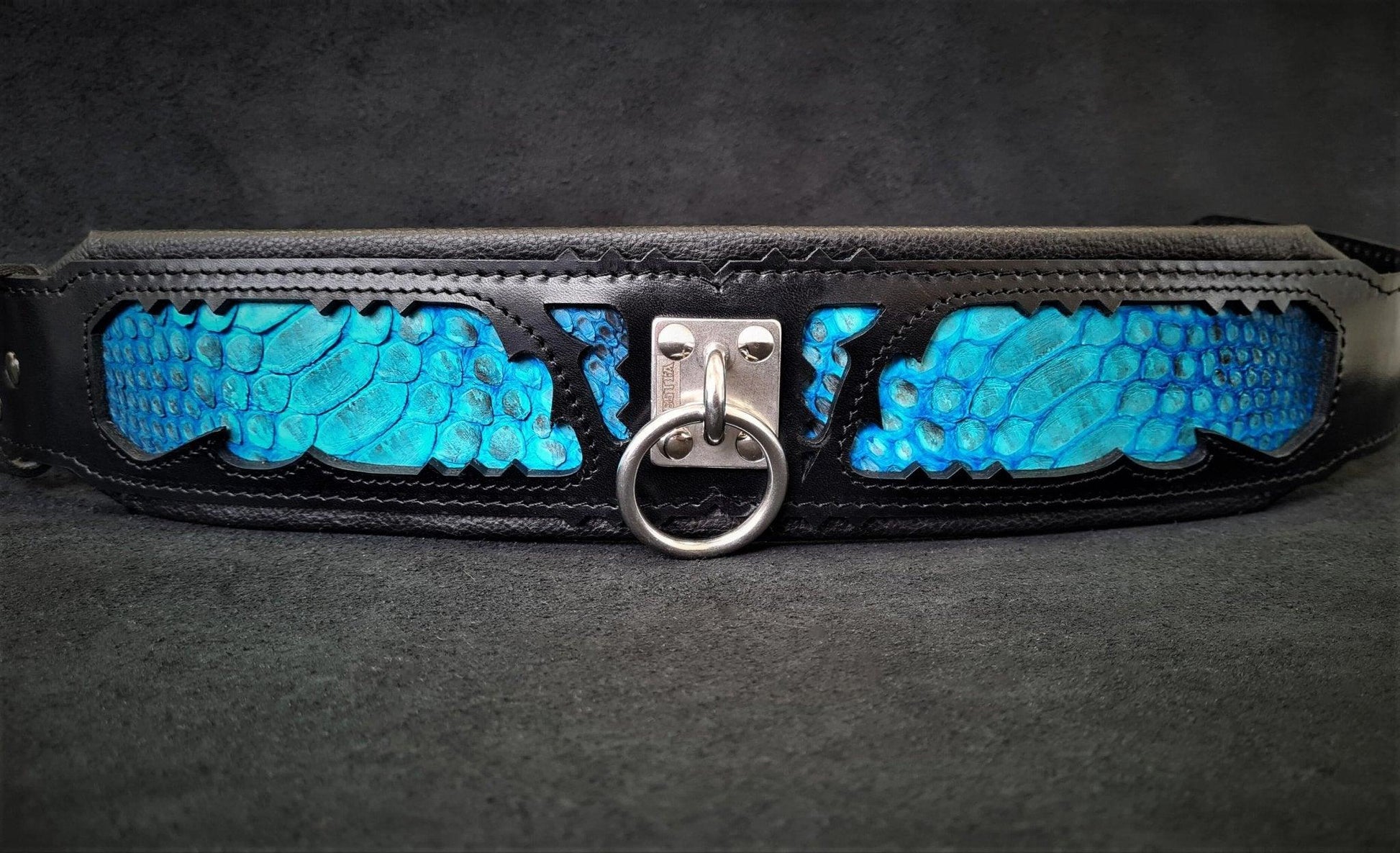 The ''Morelia Python'' Collar-3