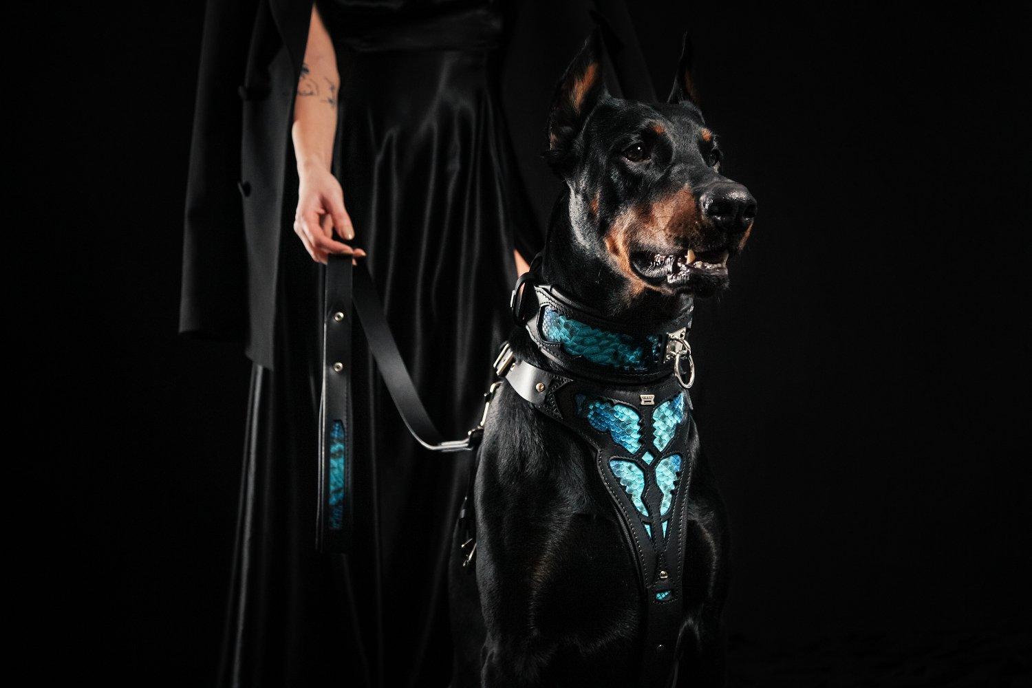 The ''Morelia Python'' Collar-4