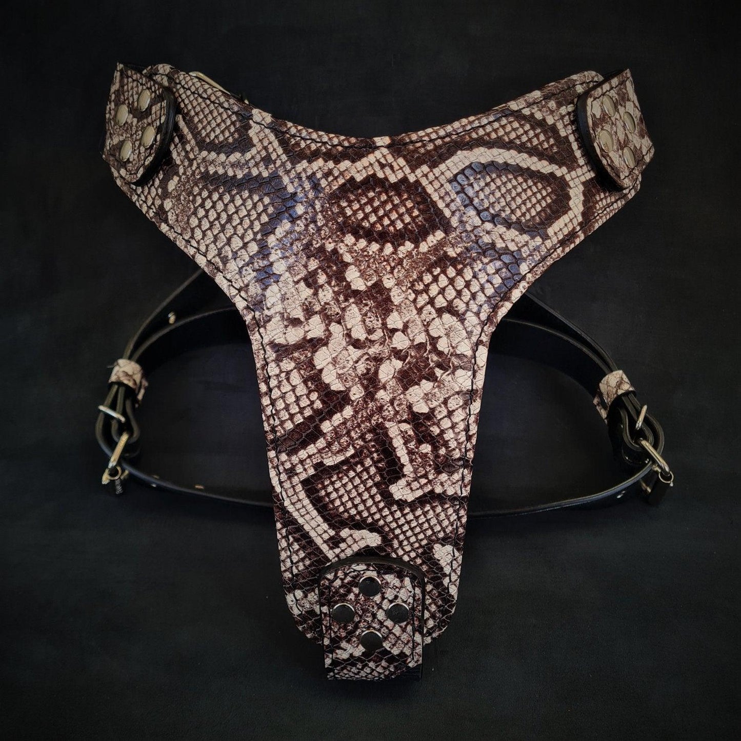 The ''Rock Python'' Harness-0