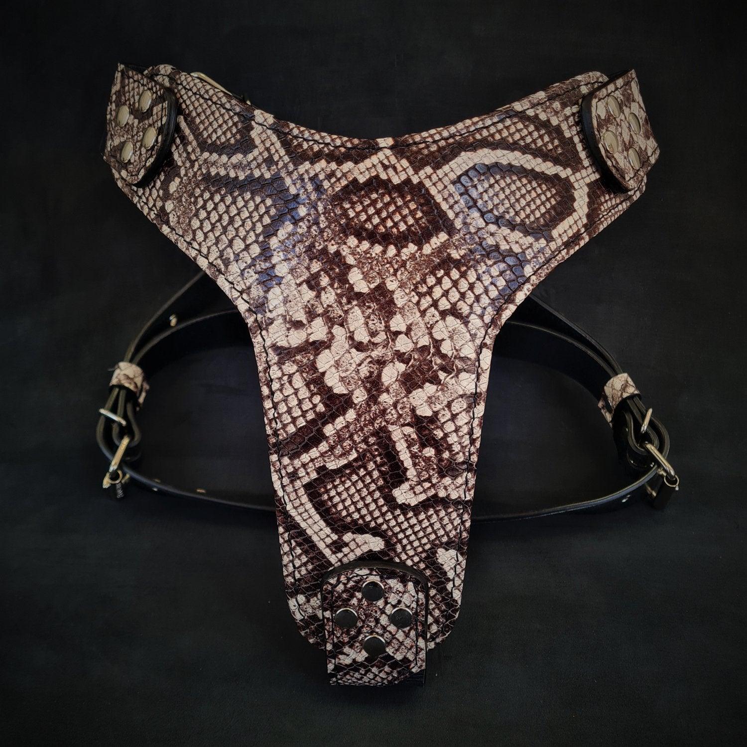 The ''Rock Python'' Harness-0