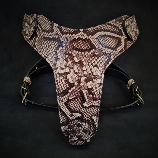 The ''Rock Python'' Harness-0