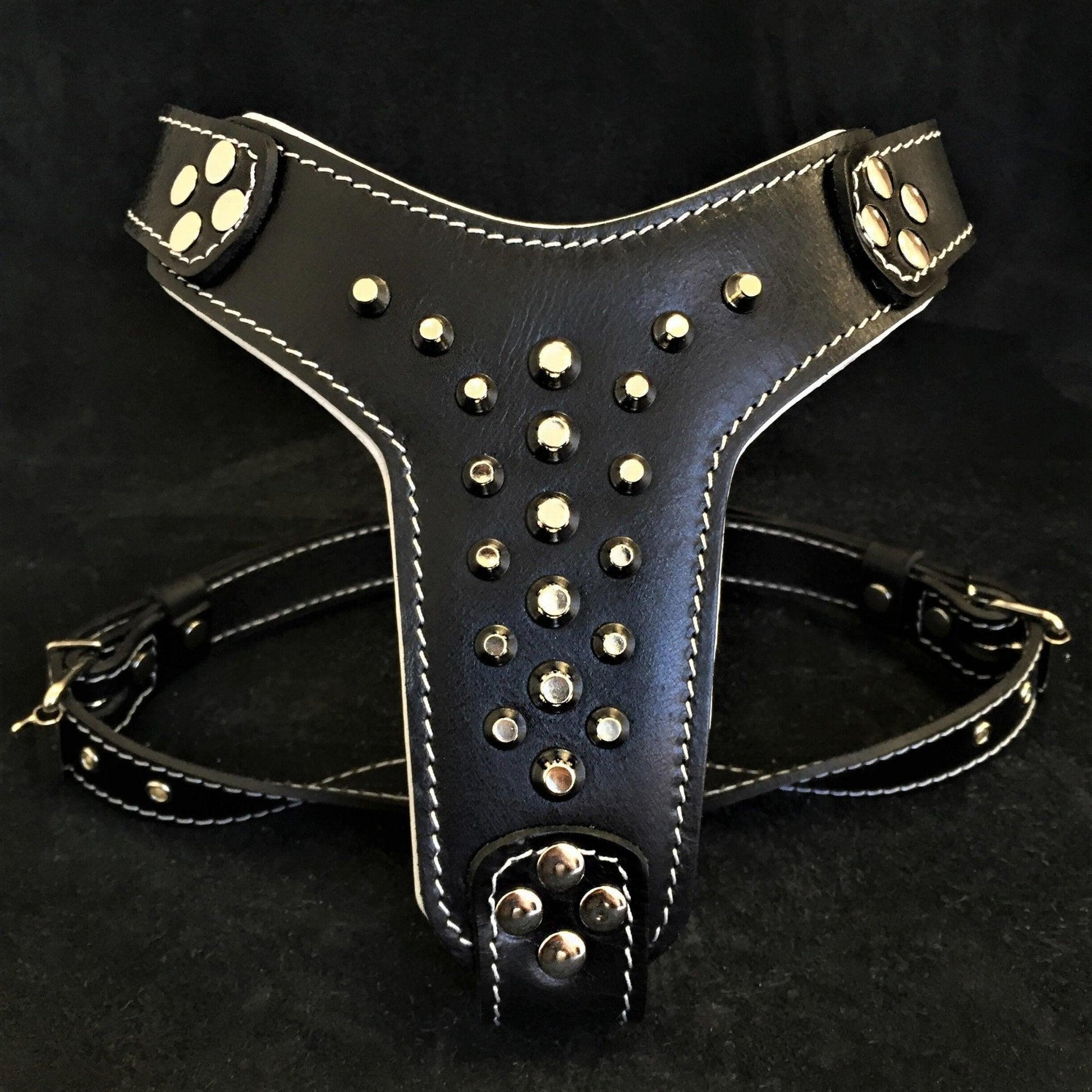 The "Rocky" Studded Leather Harness Small to Medium Size-0