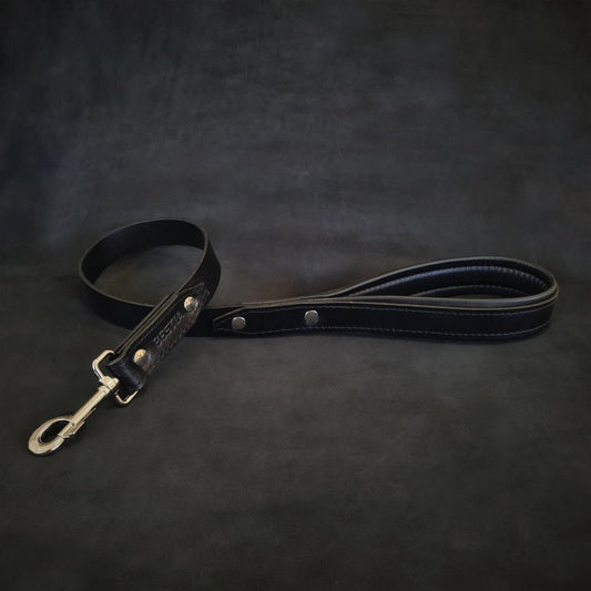 The "Style" Leash-0