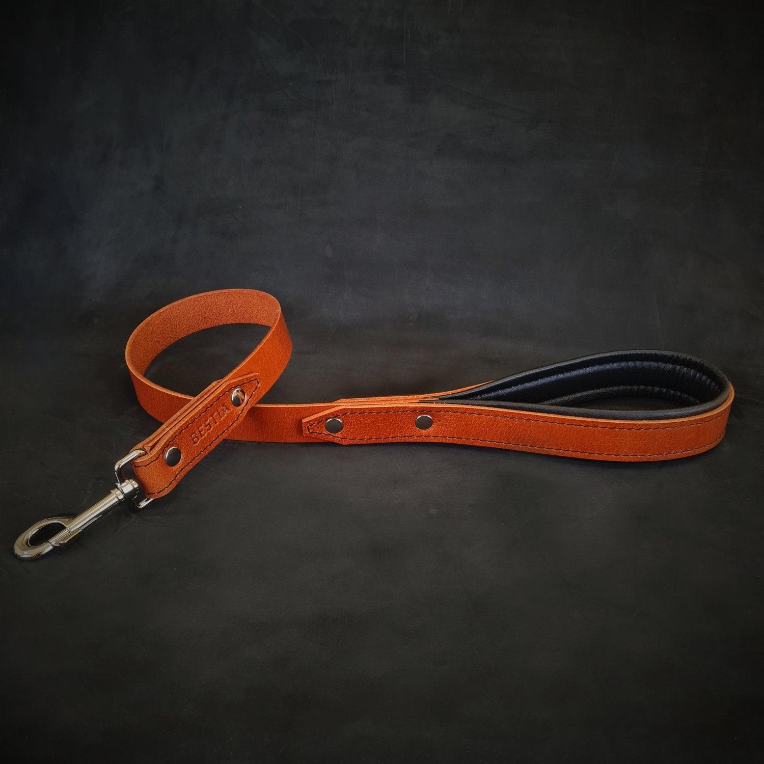 The "Style" Leash-3